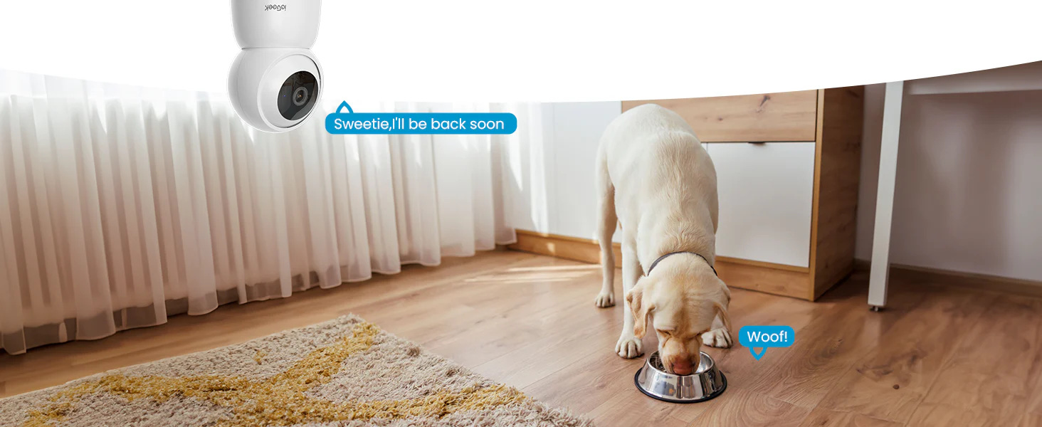 双方向コミュニケーション